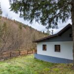 Drewniany dom położony nad wodą, otoczony lasem - ośrodek terapii uzależnień Śląsk Bezpieczna Przystań